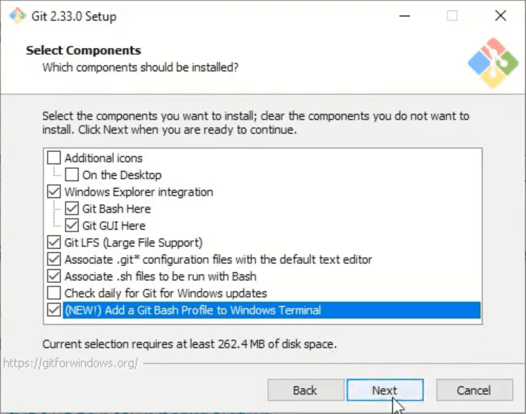 Git Installation Third Window